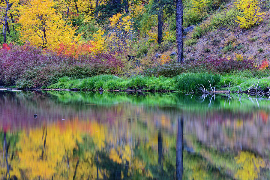 Fall Colors in Tumwater Canyon, WA #5 Digital Art by Michael Lee