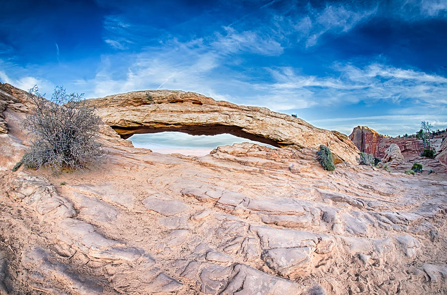 famous Mesa Arch in Canyonlands National Park Utah  USA Photograph