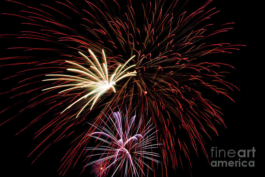 Fireworks #5 Photograph by Anthony Totah