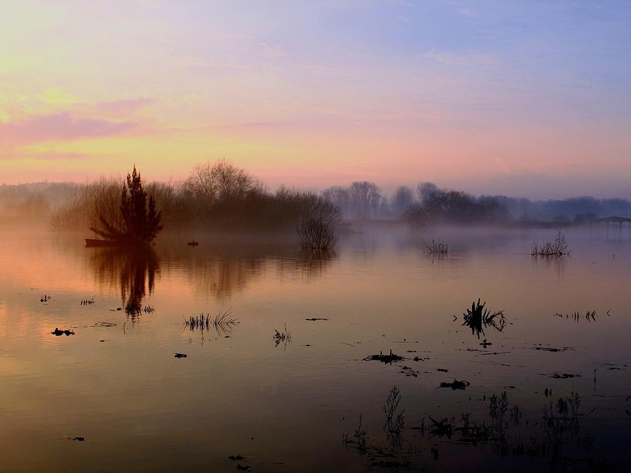 Sunset Digital Art - Fog #5 by Maye Loeser