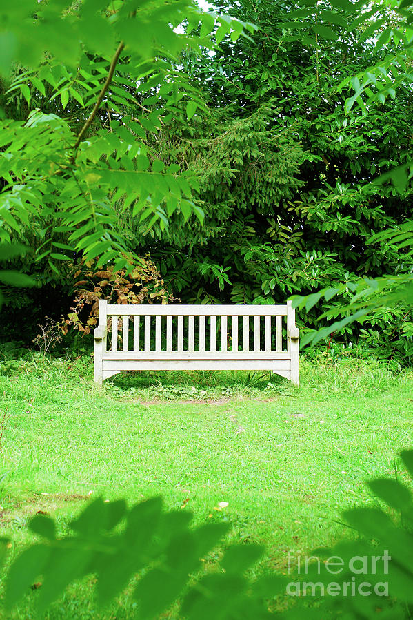 Garden bench #5 Photograph by Tom Gowanlock