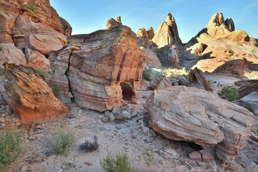 Golden Domes Back Country in Valley of Fire #5 Photograph by Ray Mathis