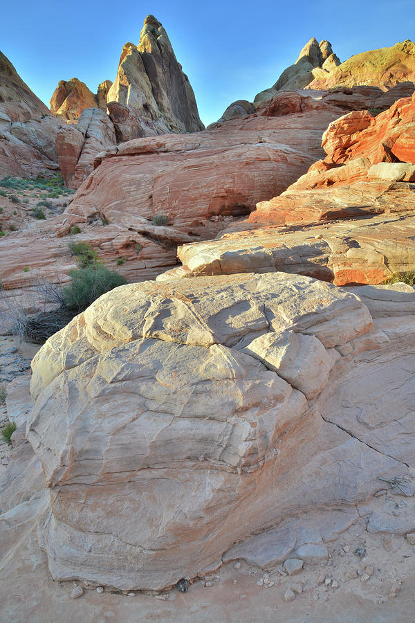 Golden Domes Trail in Valley of Fire #5 Photograph by Ray Mathis