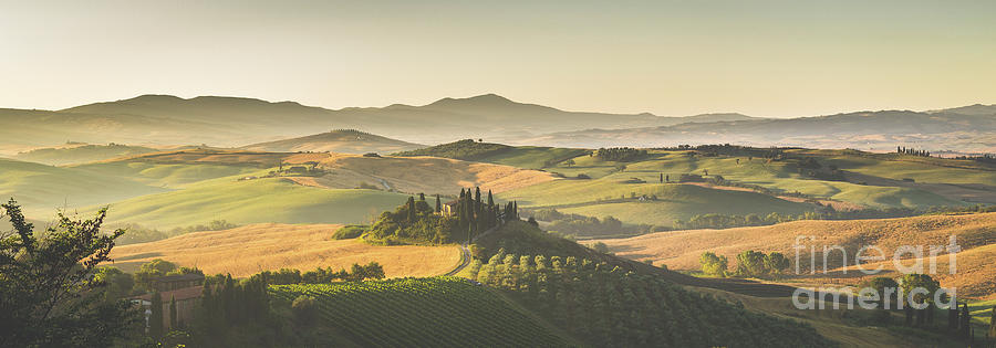 Golden Tuscany #5 Photograph by JR Photography