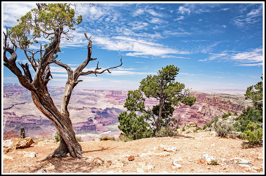 Grand Canyon, Arizona #5 Photograph by A Macarthur Gurmankin