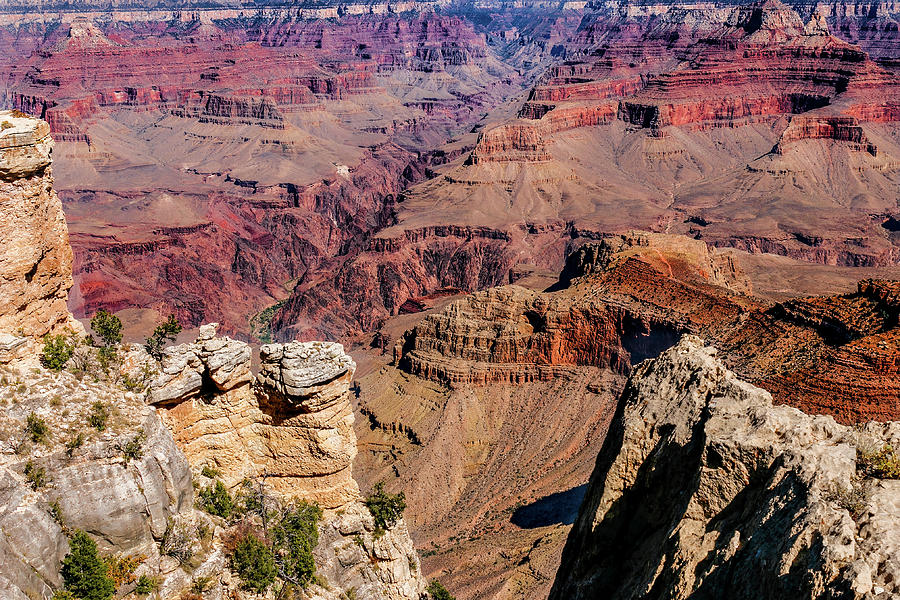 Grand Canyon #5 Photograph by Doug Long
