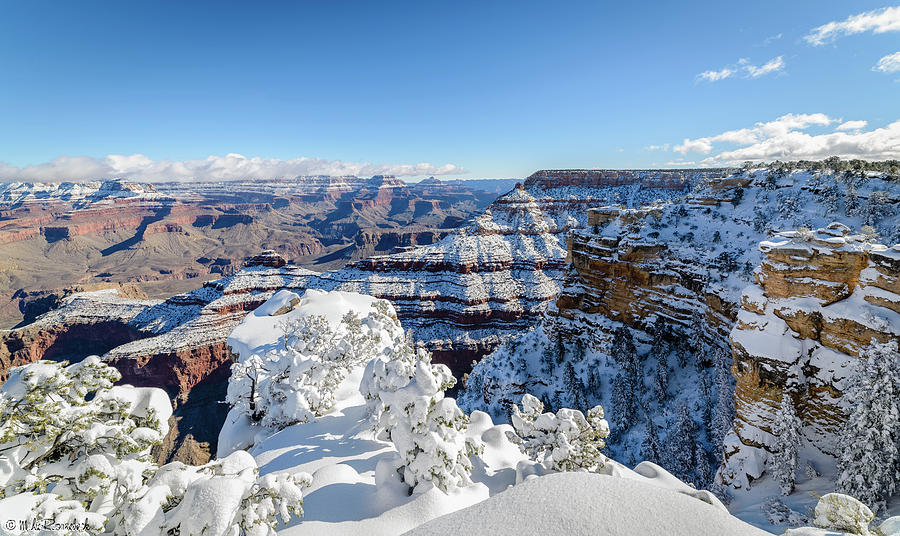 Grand Canyon #5 Photograph by Mike Ronnebeck