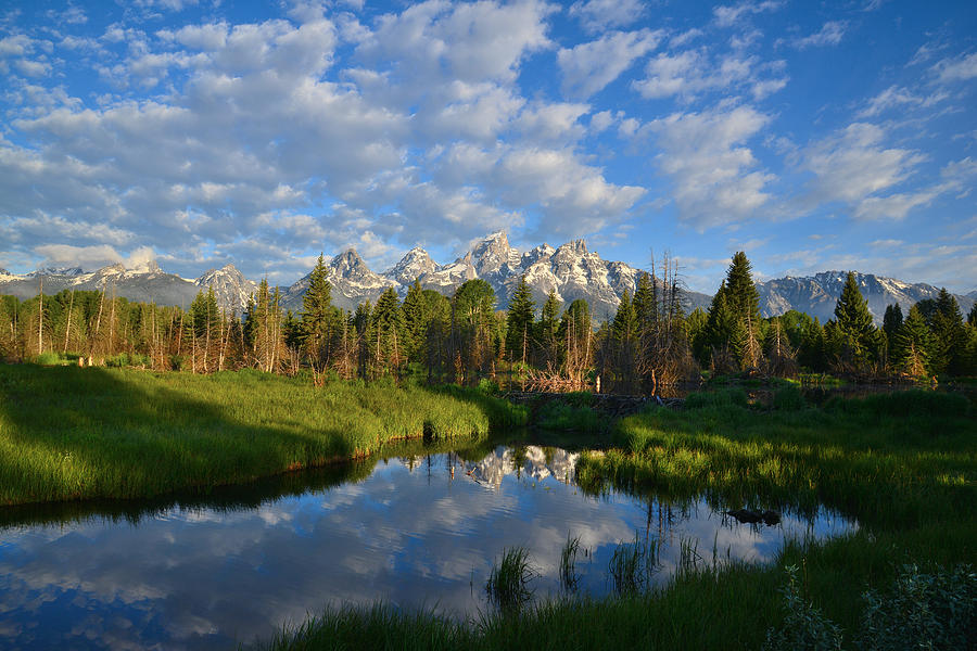 Grand Teton National Park #5 Photograph by Ray Mathis
