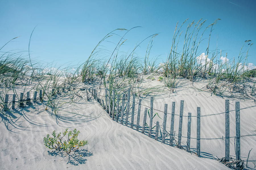 Grassy Windy Sand Dunes On The Beach #5 Photograph by Alex Grichenko