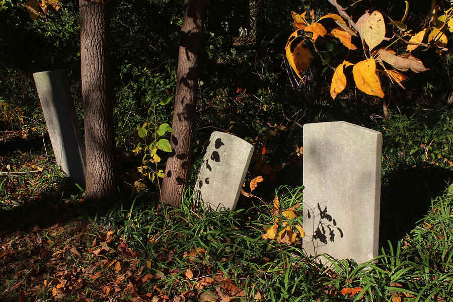 Graveyard Commack New York #5 Photograph by Bob Savage