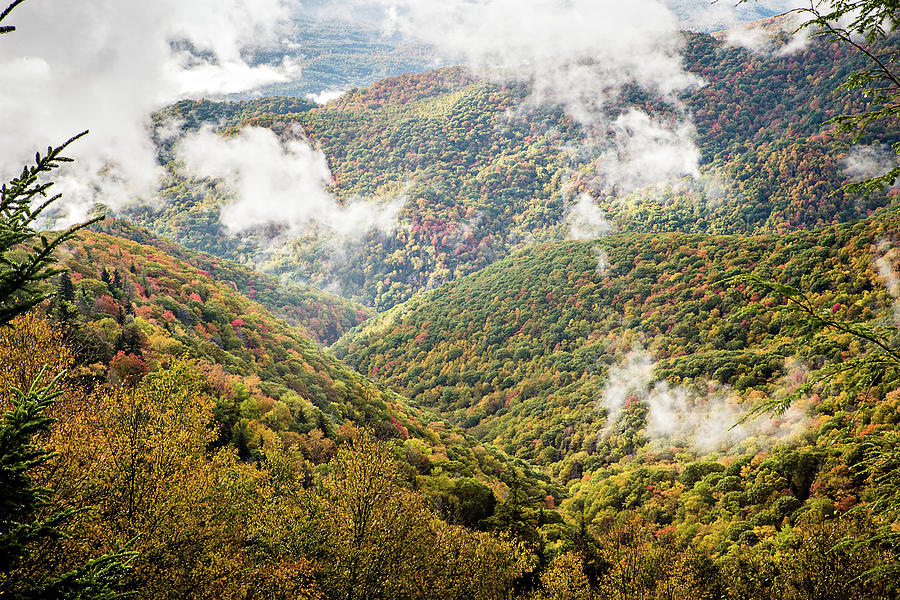   Great Smoky Mountains National Park  #5 Photograph by Alex Grichenko