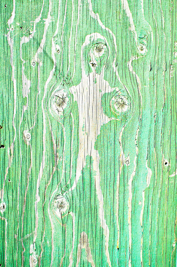 Abstract Photograph - Green wood #5 by Tom Gowanlock