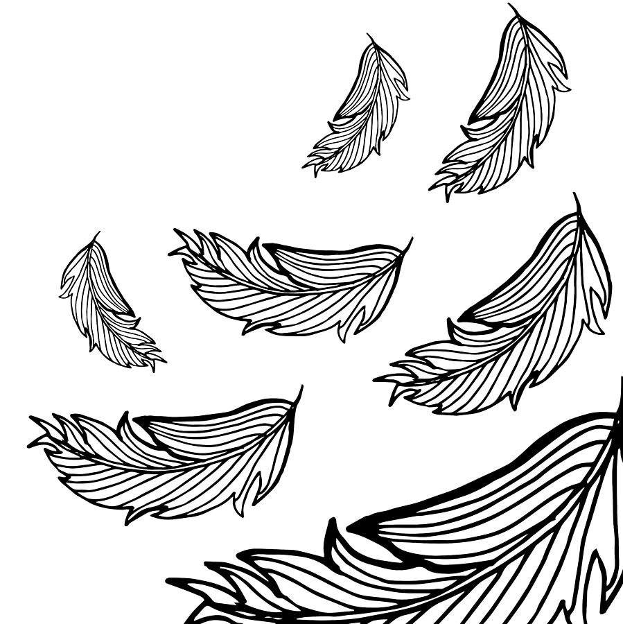 Hand Drawn Black And White Feather Background Digital Art By