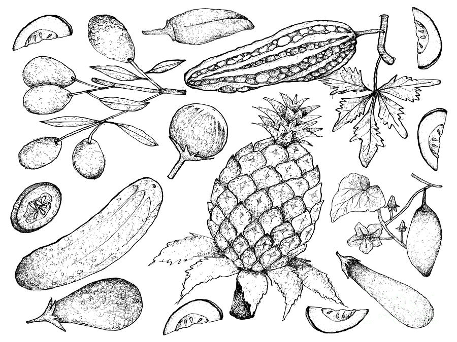 Tropical Fruit Drawings for Sale (Page #5 of 12) - Pixels