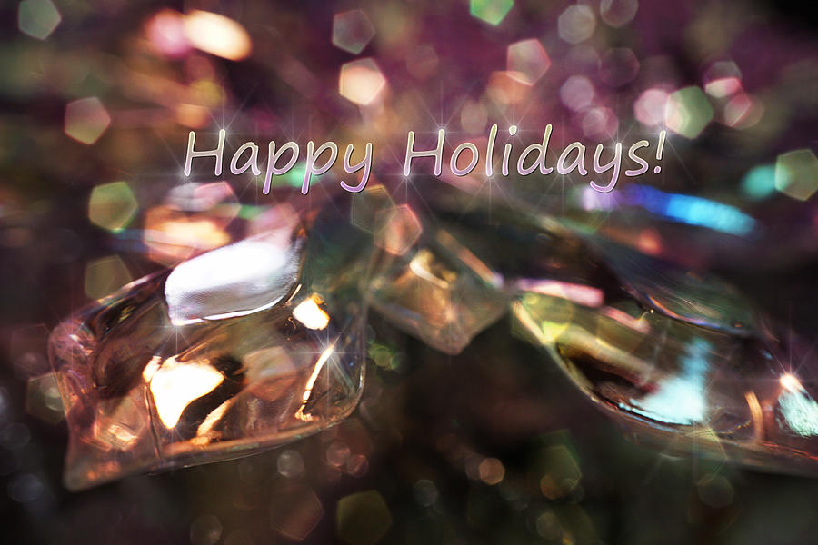 Happy Holidays #5 Photograph by Lilia S