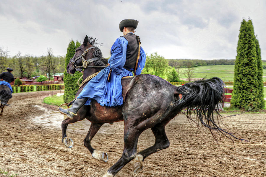 Horses Hungary Photograph by Paul James Bannerman