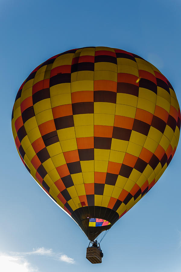 Hot air balloon #5 Photograph by SAURAVphoto Online Store