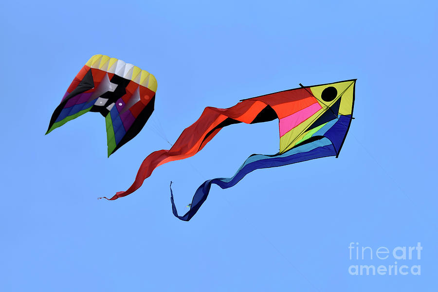 Kites flying during Kite festival #5 Photograph by George Atsametakis