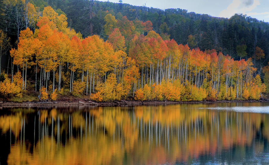 Kolob Reservoir Autumn Reflection Photograph
