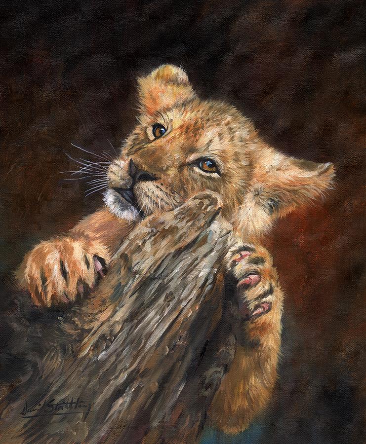 Lion Painting - Lion Cub #5 by David Stribbling
