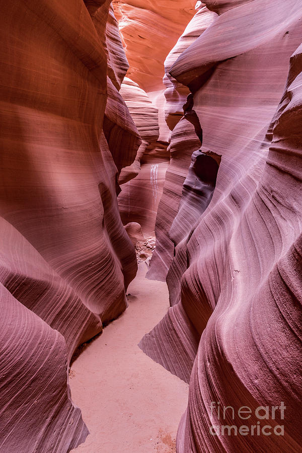 Lower Antelope Canyon #5 Photograph by Craig Shaknis