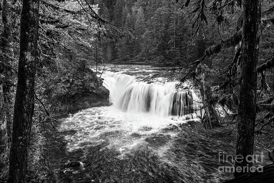Waterfall Photograph - Lower Lewis River Falls in Washington State. #5 by Jamie Pham