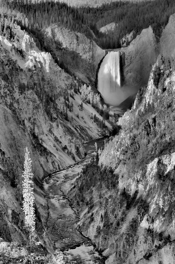 Lower Yellowstone Falls Photograph by Stephen Vecchiotti