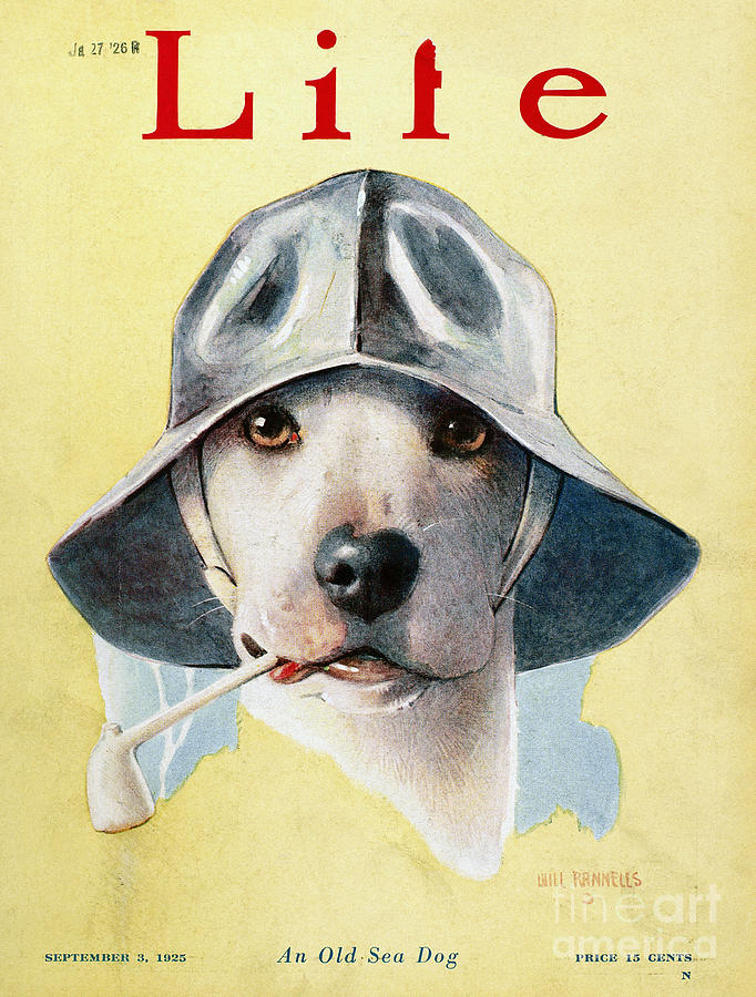 Dog Drawing - Life Magazine, 1925 #1 by Granger