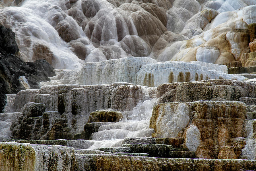 Mammoth Hot Springs abstract #5 Photograph by Shirley Mitchell