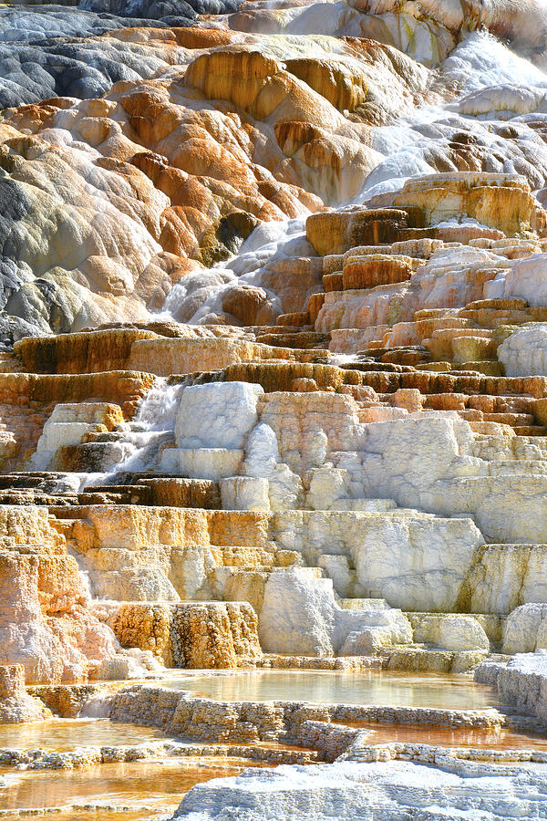 Mammoth Hot Springs #5 Photograph by Ray Mathis