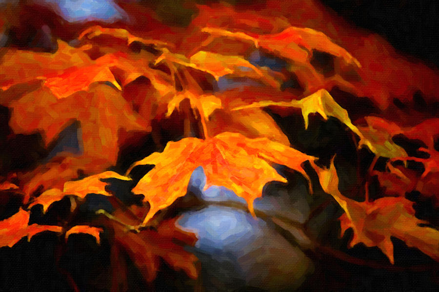 Maple leaves #5 Painting by Prince Andre Faubert