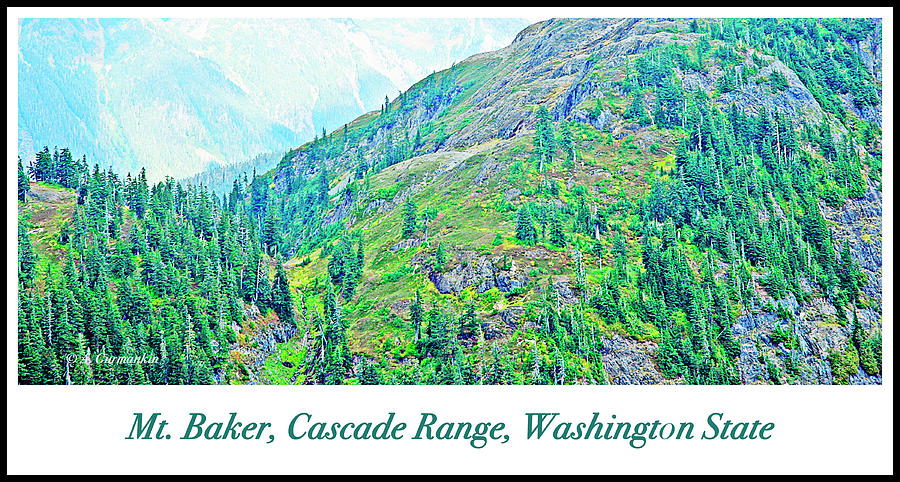Mount Baker, Cascade Range, Washington State #5 Photograph by A Macarthur Gurmankin