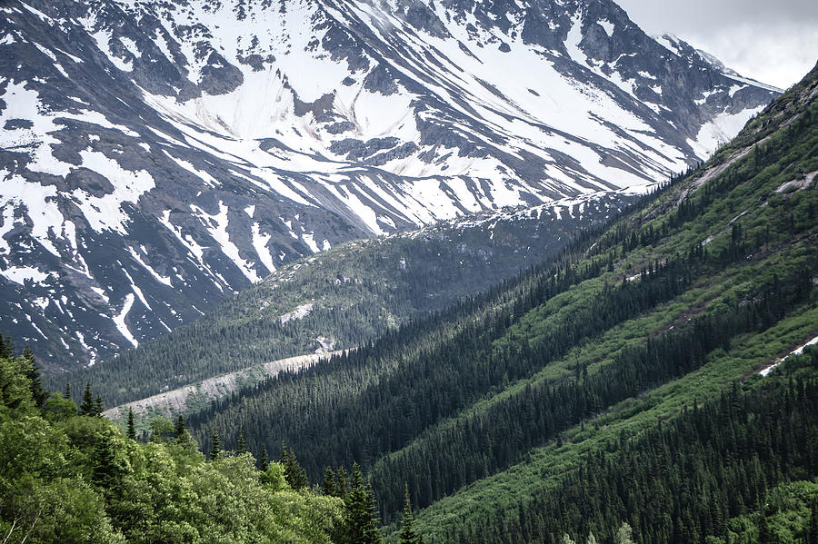 Mountain Range Inn British Columbia Alaskan Rockies #5 Photograph by Alex Grichenko