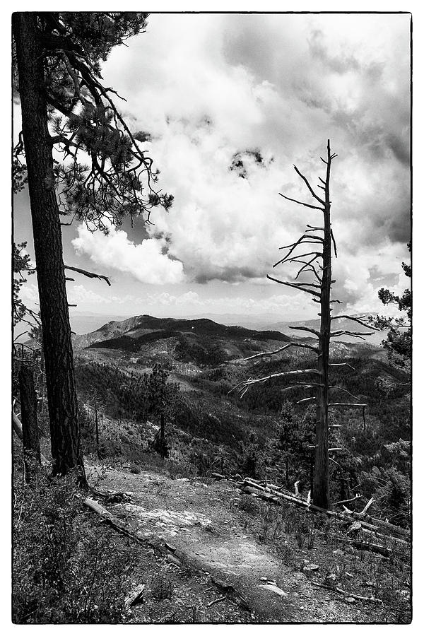 Mt Lemmon Trailhead AZ #5 Photograph by Chris Smith