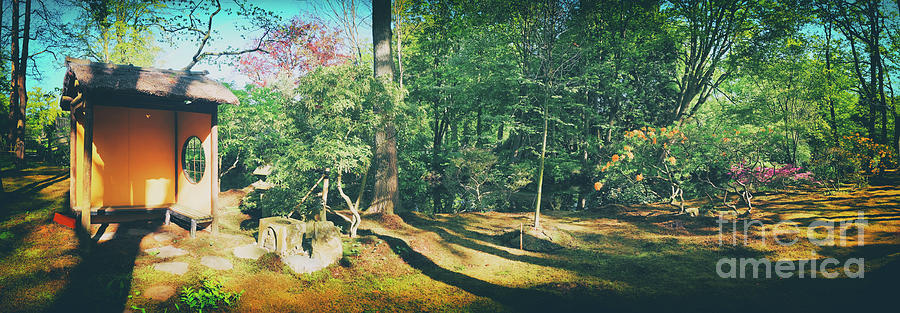 Nature Background Panorama #6 Photograph by Ariadna De Raadt