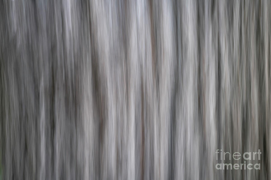 Nature Motion Blur Abstract #5 Photograph by Marek Uliasz
