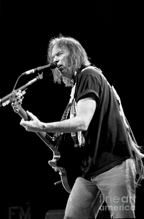 Neil Young Photograph by Concert Photos - Pixels