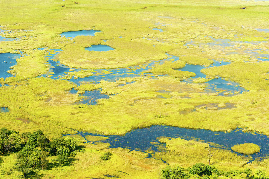 Okavango Delta aerial view #5 Photograph by Marek Poplawski