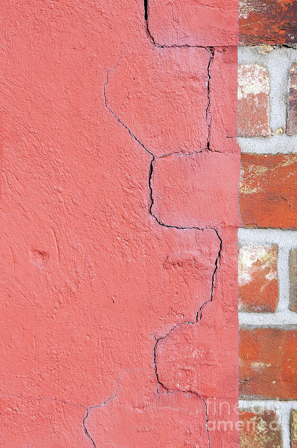 Old brick wall #5 Photograph by Tom Gowanlock