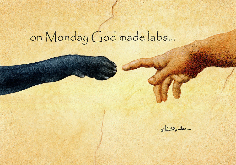 Animal Painting - on Monday God made labs... #2 by Will Bullas
