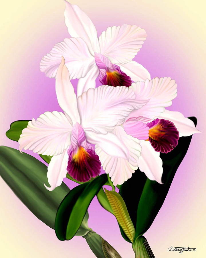 Orchids #7 Mixed Media by Anthony Seeker