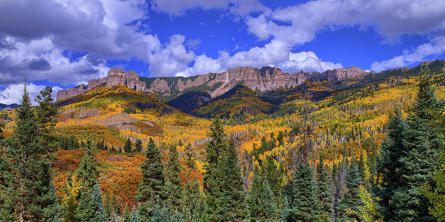 Owl Creek Pass Fall Colors Photograph by Tyler Grundvig - Fine Art America