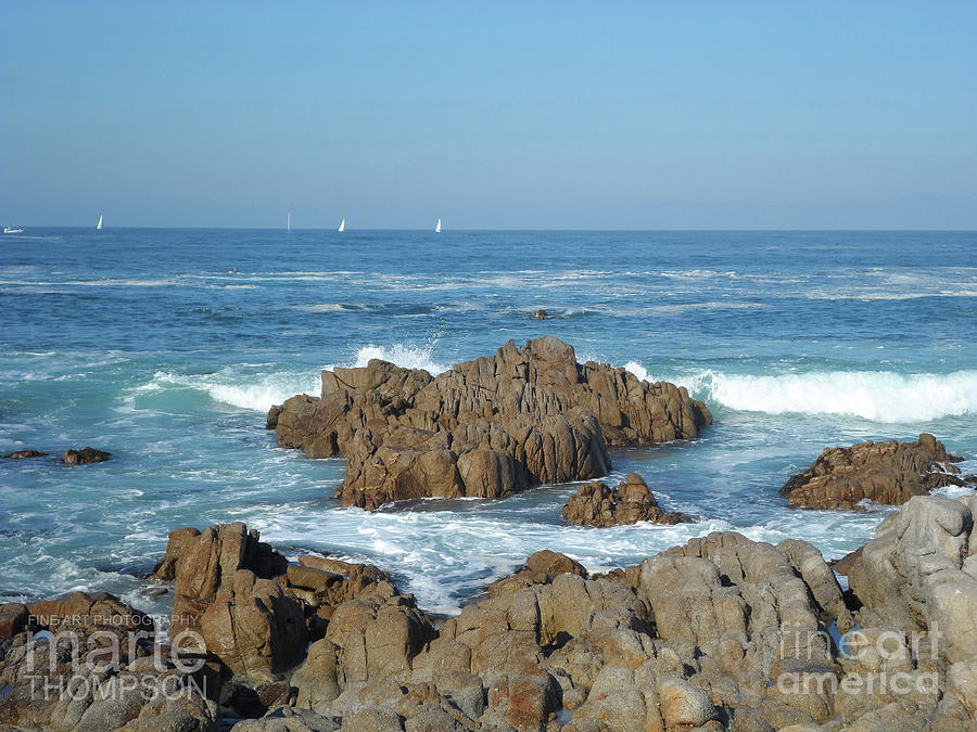 Pacific Grove Photograph - Pacific Grove #6 by Marte Thompson