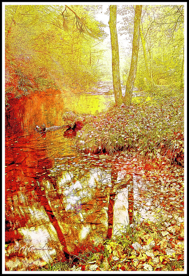 Pennsylvania Mountain Stream in Autumn #5 Photograph by A Macarthur Gurmankin