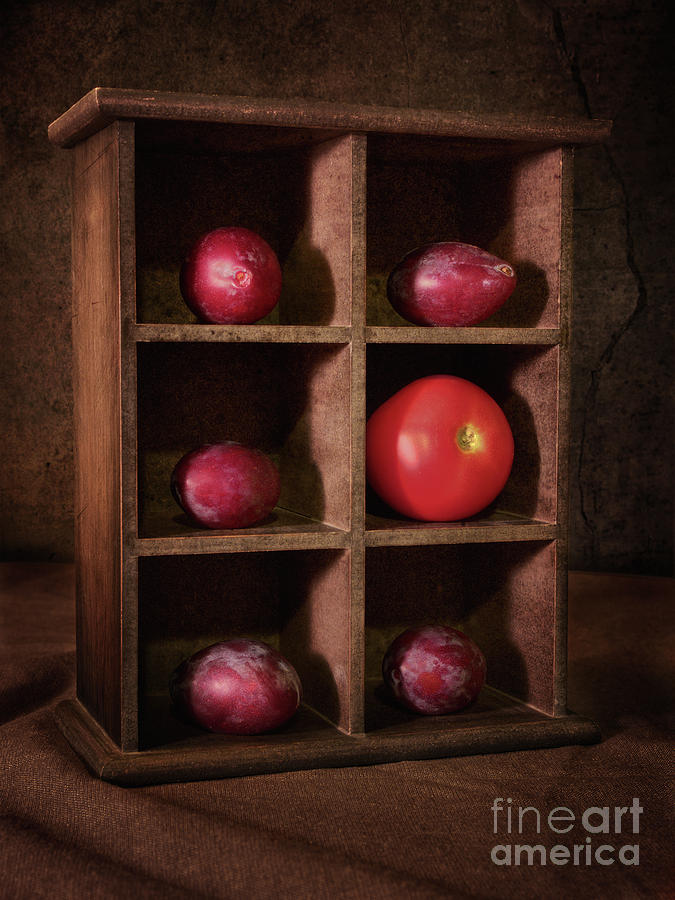 5 Plums and a Tomato Photograph by Mark Miller