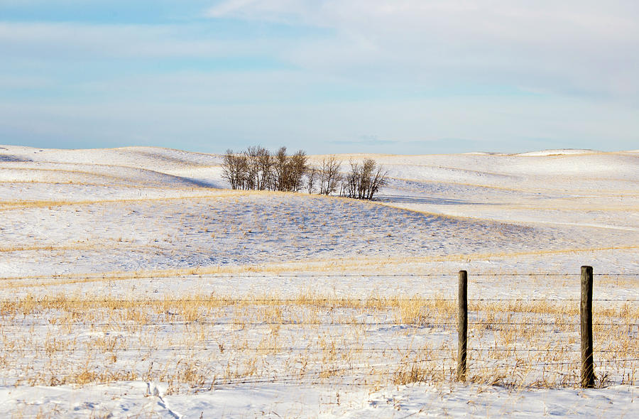 Prairie Landscape in Winter #5 Photograph by Mark Duffy