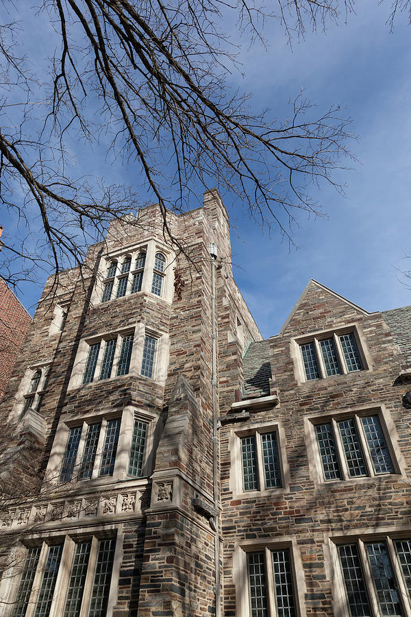 Princeton University Campus Photograph by Erin Cadigan - Fine Art America