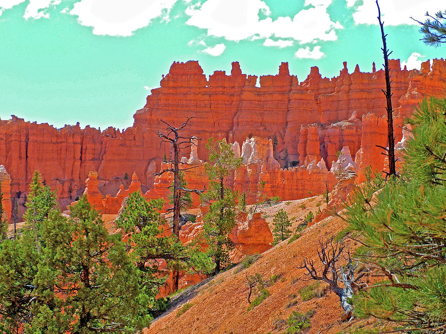 Queens Garden Trail in Bryce National Park, Utah  #5 Photograph by Ruth Hager