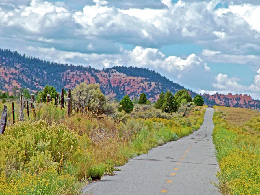 Red Canyon Biking and Hiking Trail in Dixie National Forest, Utah  #4 Photograph by Ruth Hager