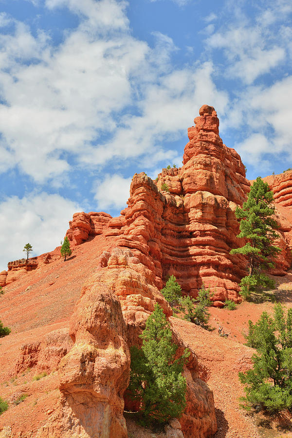 Red Canyon #5 Photograph by Ray Mathis